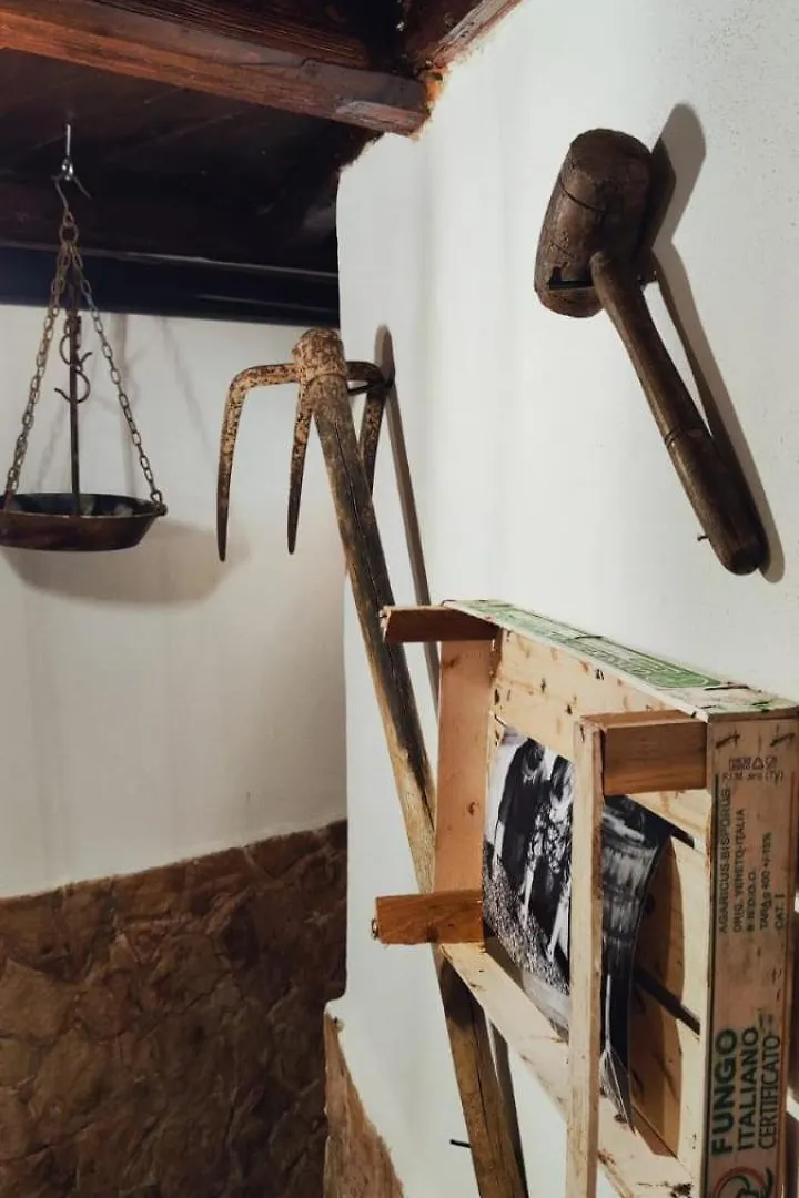 Ferienwohnung Fiori D'Ulivo Palermo Italien